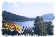 Conseil G�n�ral des Vosges