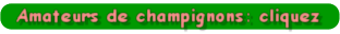 Un petit lien pour les amateurs de champignons